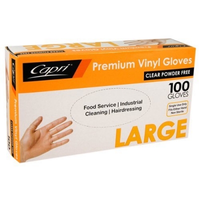 Large Unpowdered Clear Vinyl Gloves (10) - Click for more info