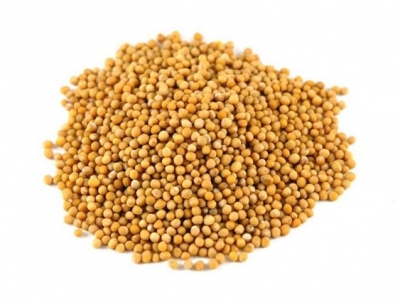 Mustard Seeds Yellow 1kg - Click for more info