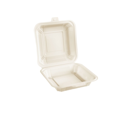 CS 9 inch Hinged Container - Click for more info