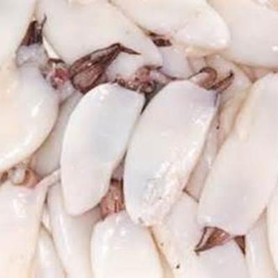 Squid Whole Baby 1kg - Click for more info